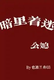 暗里着迷（公媳）